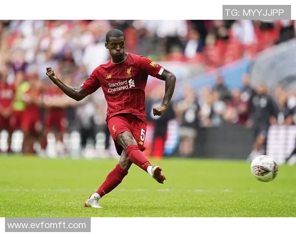 你不知道的德布劳内：十大冷知识大揭秘